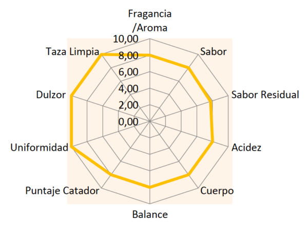 CHERUA 1800-analyse-du-café