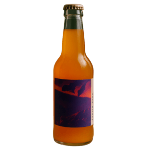Coldbrew fermenté