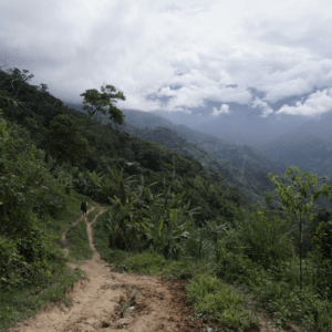 chemin pour aller aux plantations
