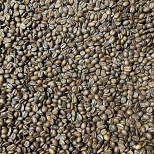 Comment choisir son café ?